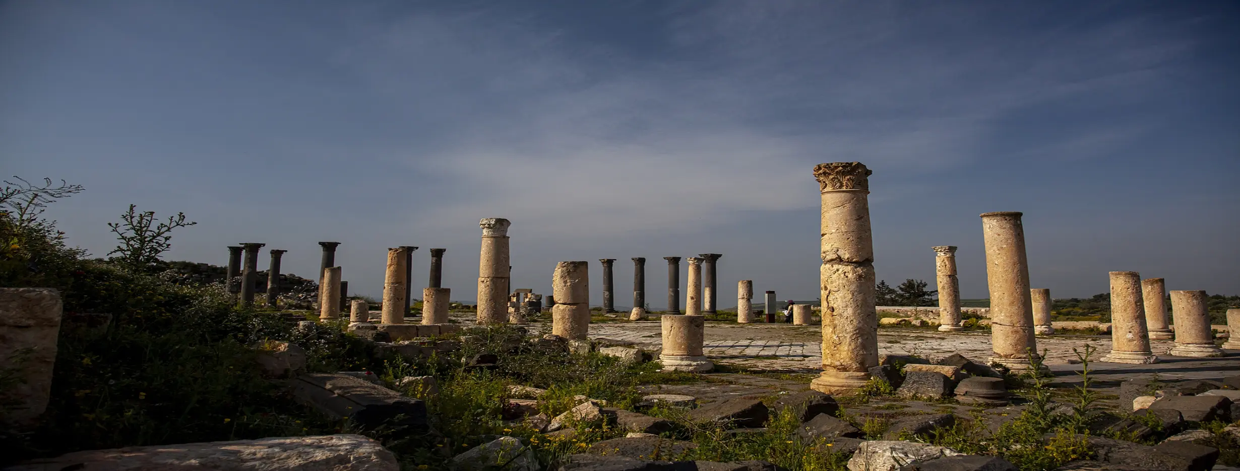 Image for Irbid Archaeological Tour
